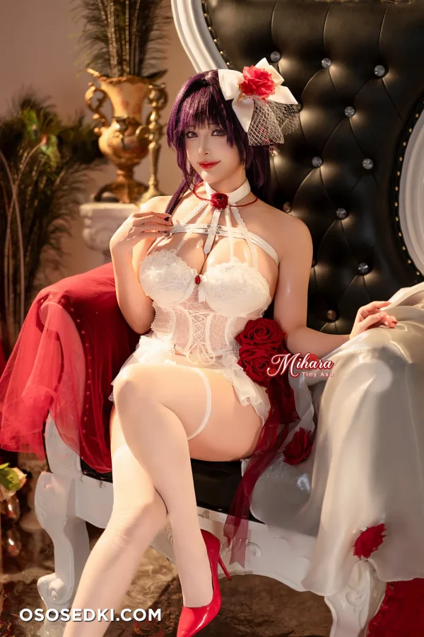 Tiny Asa - Mihara - Goddess Of Victory Nikke - 6