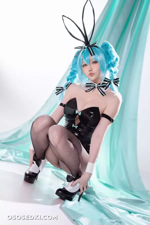 Hoshilily - Hatsune Miku Bunny Girl - 13