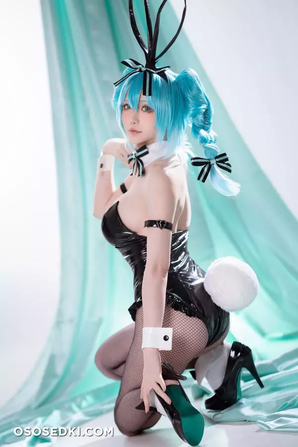 Hoshilily - Hatsune Miku Bunny Girl - 18