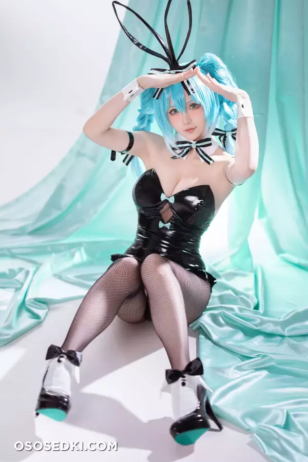 Hoshilily - Hatsune Miku Bunny Girl - 19