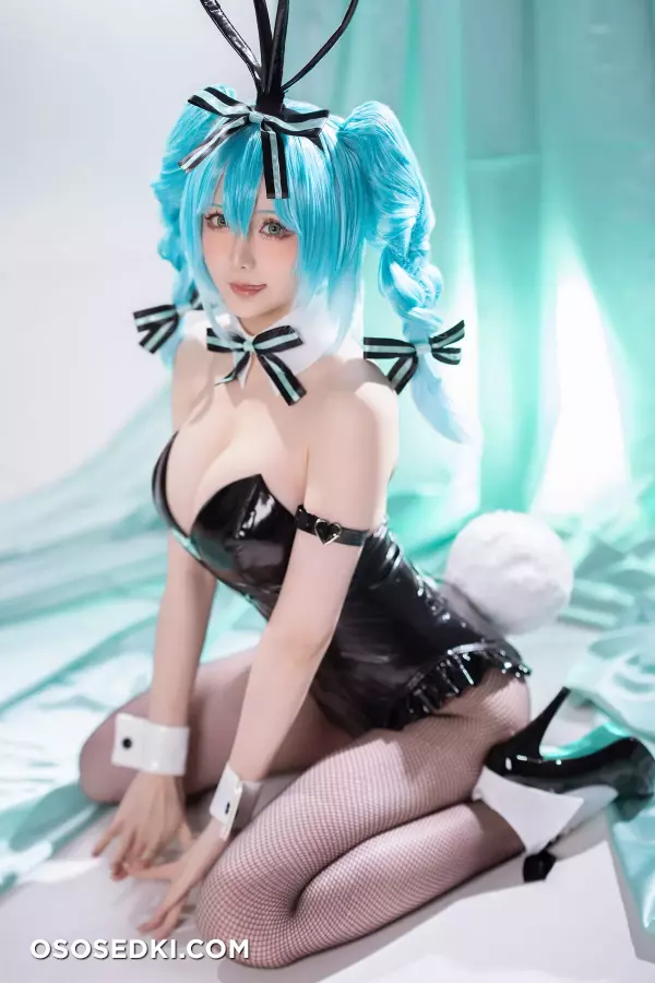 Hoshilily - Hatsune Miku Bunny Girl - 24