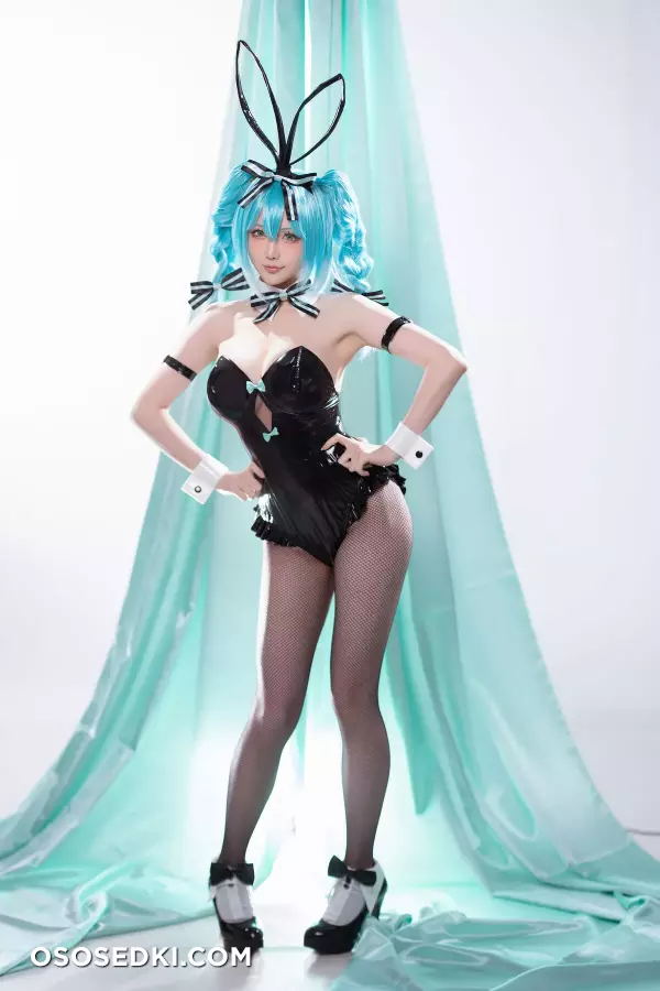 Hoshilily - Hatsune Miku Bunny Girl - 42