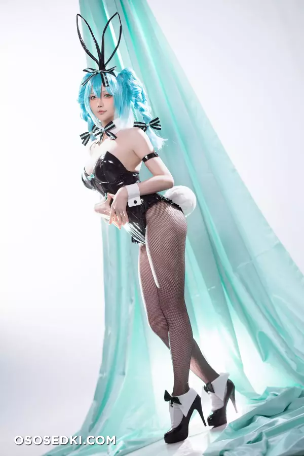 Hoshilily - Hatsune Miku Bunny Girl - 43