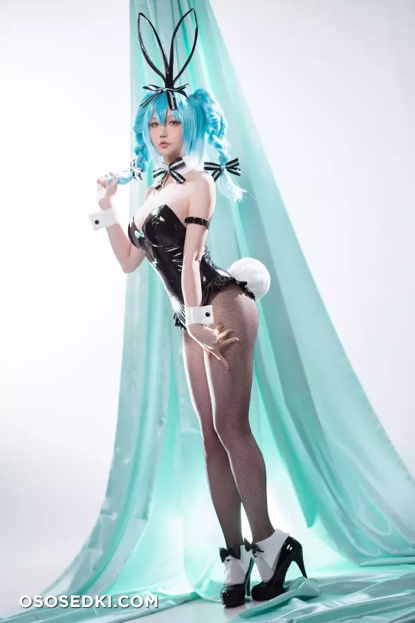 Hoshilily - Hatsune Miku Bunny Girl - 44