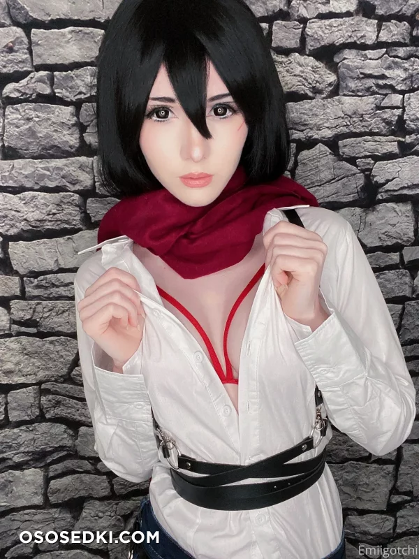 Emiigotchi - Mikasa Ackerman - Shingeki No Kyojin  Attack On Titan - 6