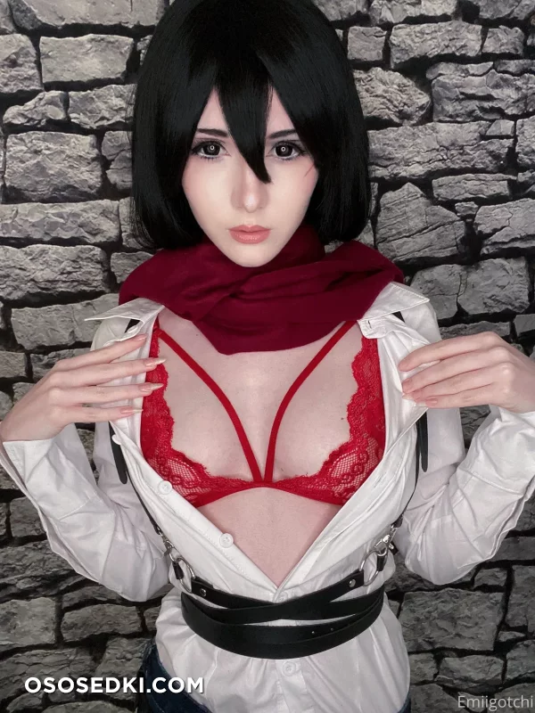 Emiigotchi - Mikasa Ackerman - Shingeki No Kyojin  Attack On Titan - 7