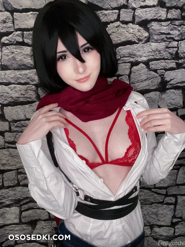 Emiigotchi - Mikasa Ackerman - Shingeki No Kyojin  Attack On Titan - 8