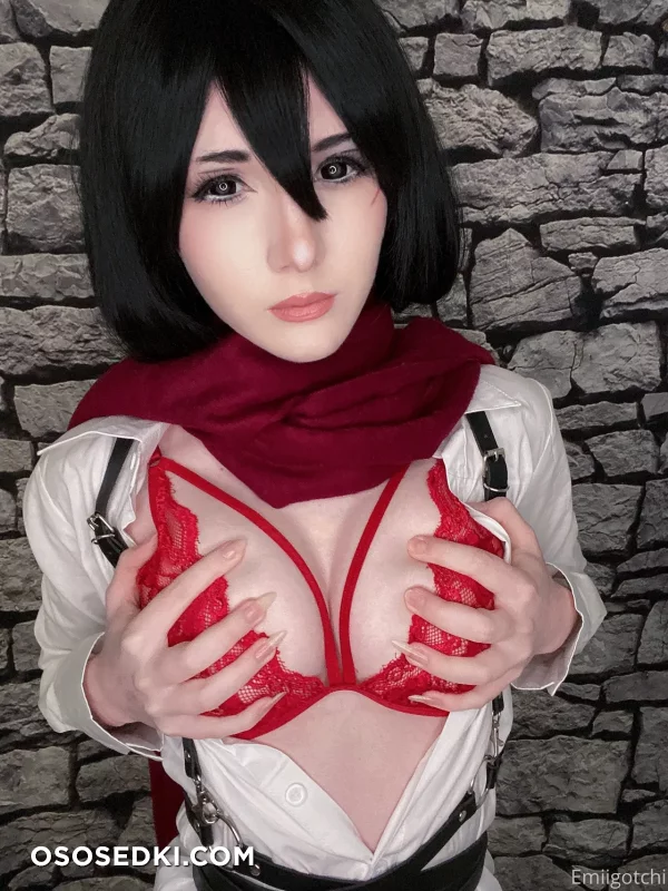 Emiigotchi - Mikasa Ackerman - Shingeki No Kyojin  Attack On Titan - 9