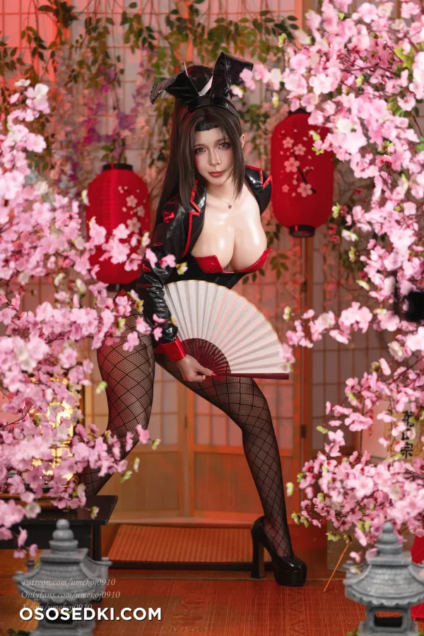 Umeko J - Mai Shiranui - Fatal Fury  Garou Densetsu - 12