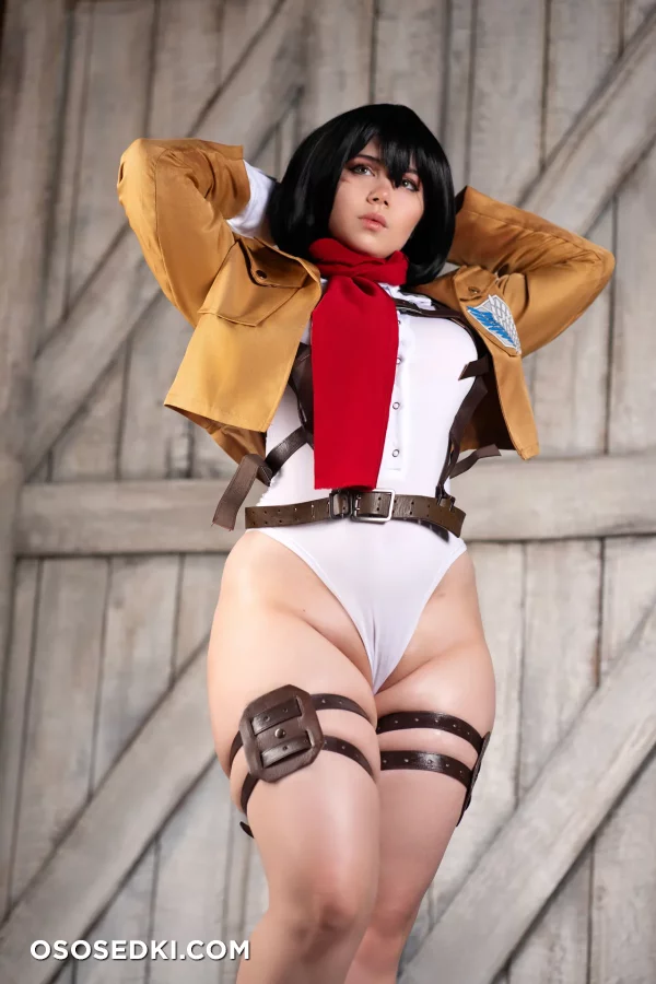 Elune - Mikasa Ackerman - Shingeki No Kyojin  Attack On Titan - 14