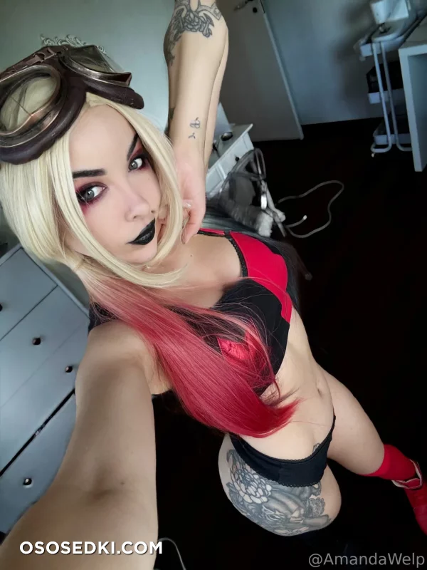 Amanda Welp  Ablizzard - Harley Quinn - Batman - 1