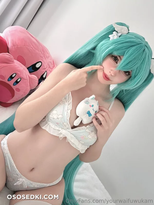 Kam - Miku Hatsune - Vocaloid - 2