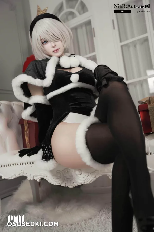 Puutin - 2b - Nier Automata - 1