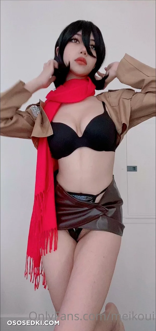 Meikoui - Mikasa Ackerman - Shingeki No Kyojin  Attack On Titan - 1