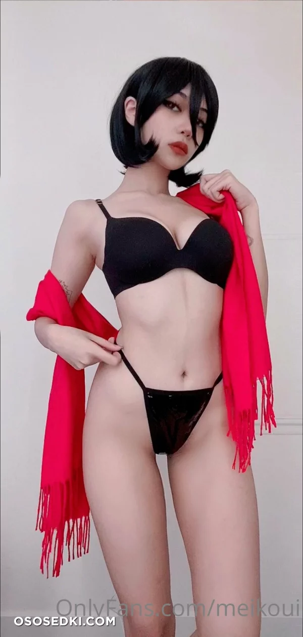 Meikoui - Mikasa Ackerman - Shingeki No Kyojin  Attack On Titan - 8