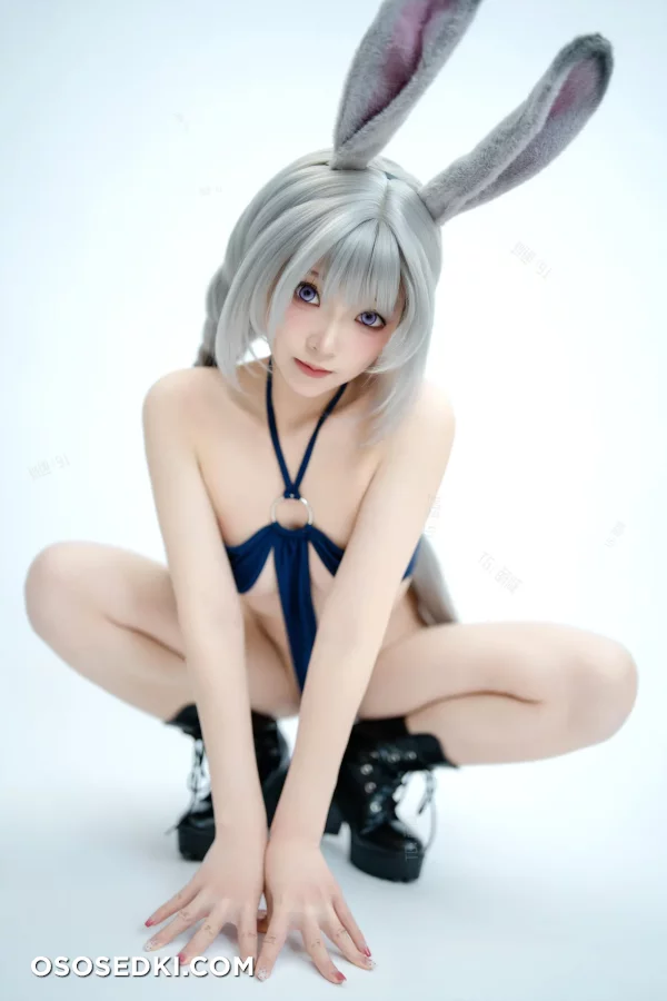 Bangni邦尼: 兔子警官 - Judy Hopps - Zootopia - 48