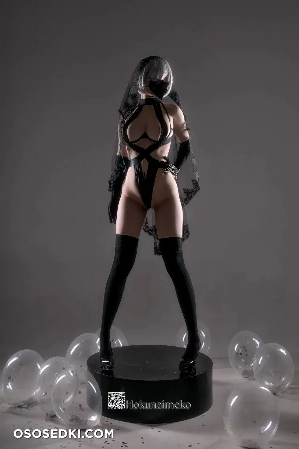 Hokunaimeko - 2b - Nier Automata - 12