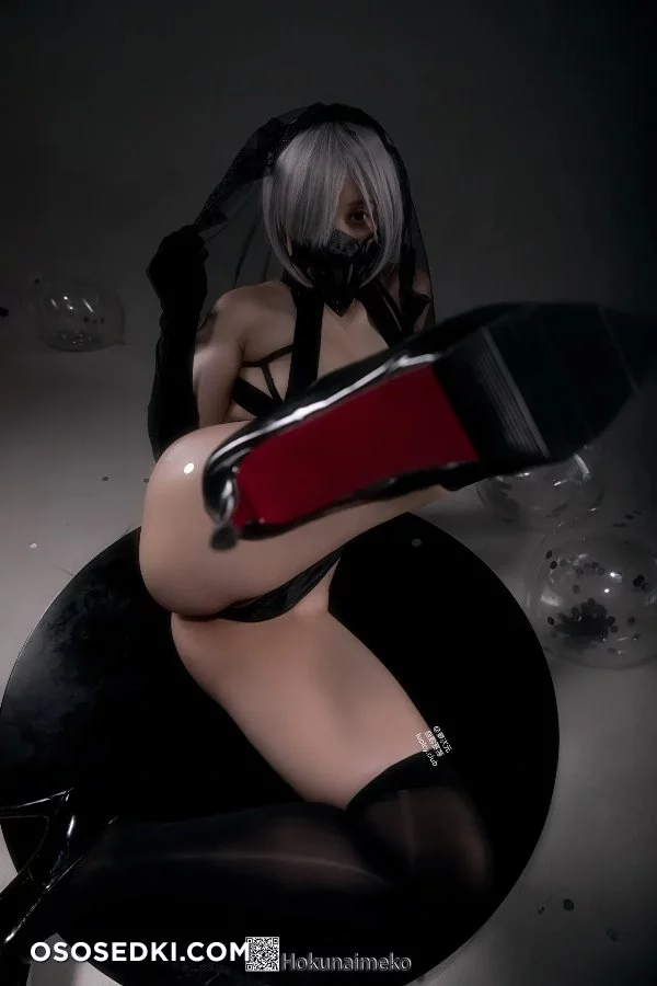 Hokunaimeko - 2b - Nier Automata - 64