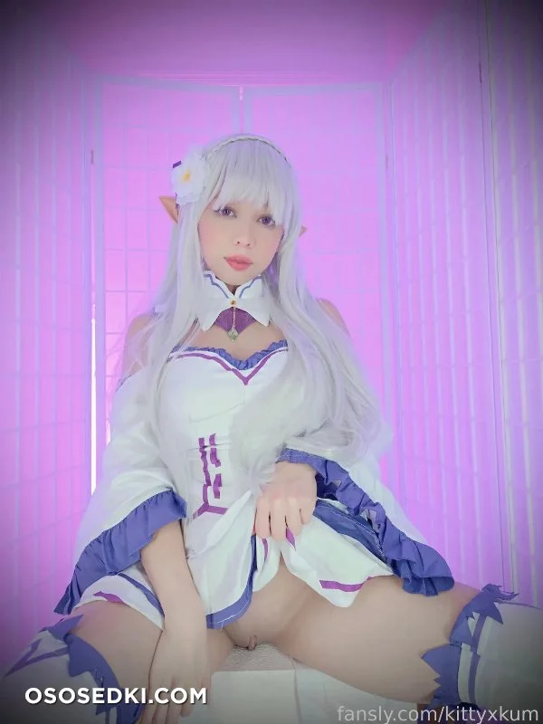 Kittyxkum - Emilia - Re Zero Kara Hajimeru Isekai Seikatsu - 9