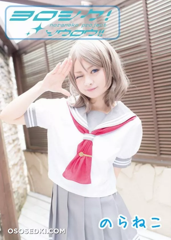 [Noraneko, Yoroshikusourou] Kosupure shashin-shū - 1