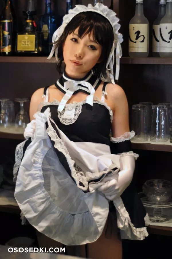 [Higurashi Kikaku (Rin Higurashi)] ~ Kore ga Anata no Aigan Maid - 166
