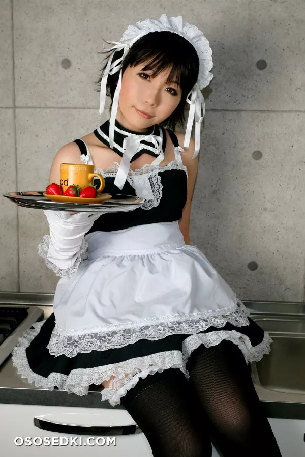 [Higurashi Kikaku (Rin Higurashi)] ~ Kore ga Anata no Aigan Maid - 173