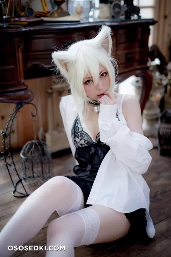 [Nikukyu Ayato, Nagisa MK-2, Usagi, Senji] Klartheit (Various) - 205