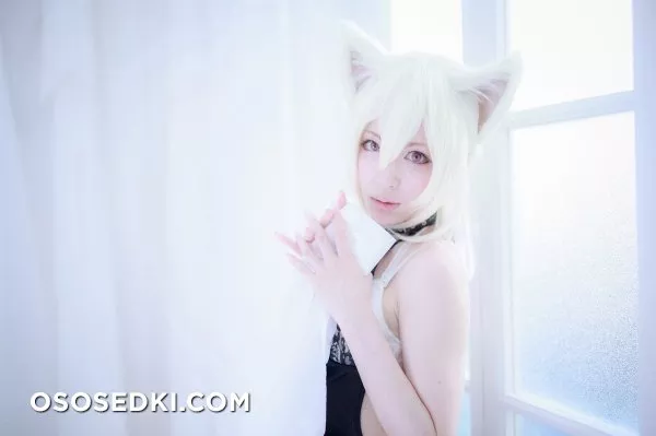 [Nikukyu Ayato, Nagisa MK-2, Usagi, Senji] Klartheit (Various) - 264