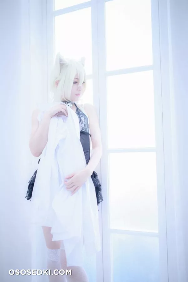 [Nikukyu Ayato, Nagisa MK-2, Usagi, Senji] Klartheit (Various) - 277