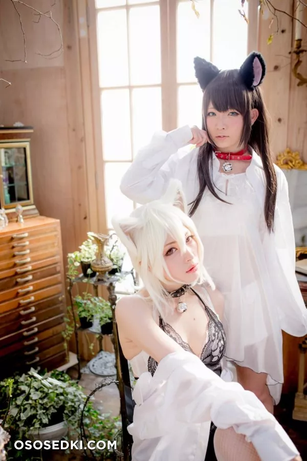 [Nikukyu Ayato, Nagisa MK-2, Usagi, Senji] Klartheit (Various) - 690