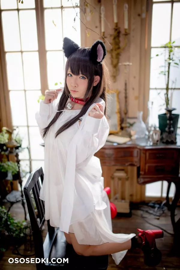 [Nikukyu Ayato, Nagisa MK-2, Usagi, Senji] Klartheit (Various) - 813