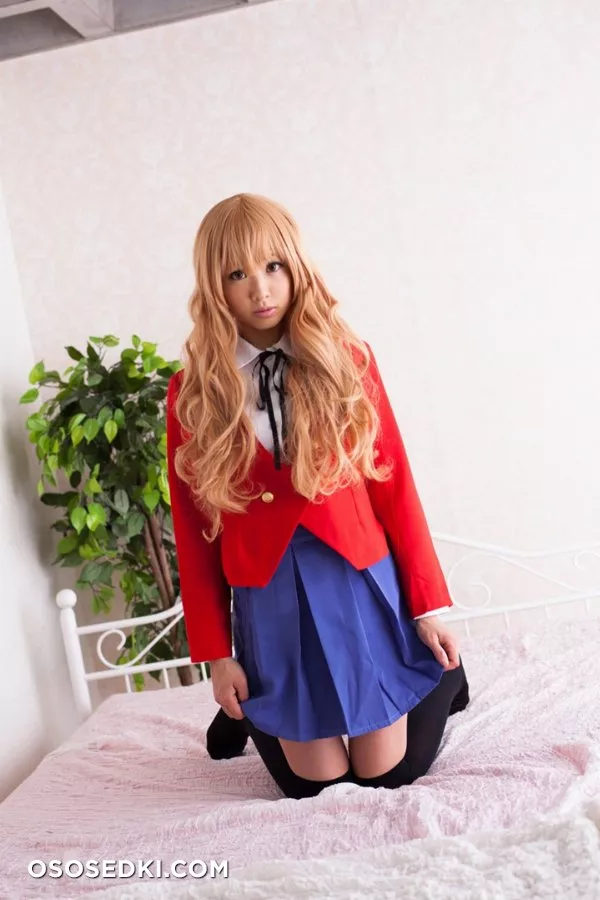[@factory (Saotome Love)] Lovedora! (Toradora!) - 27