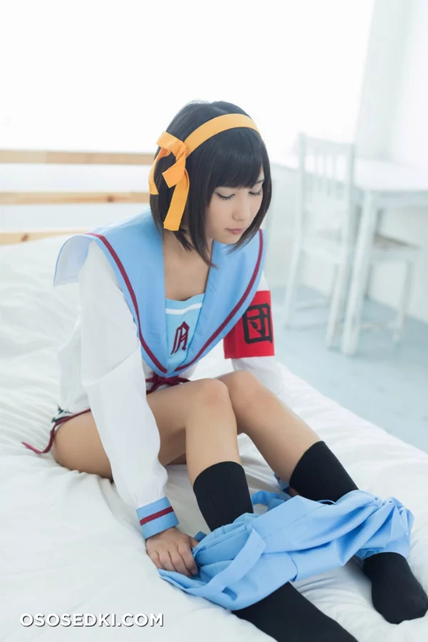 Haruhi Suzumiya - 14