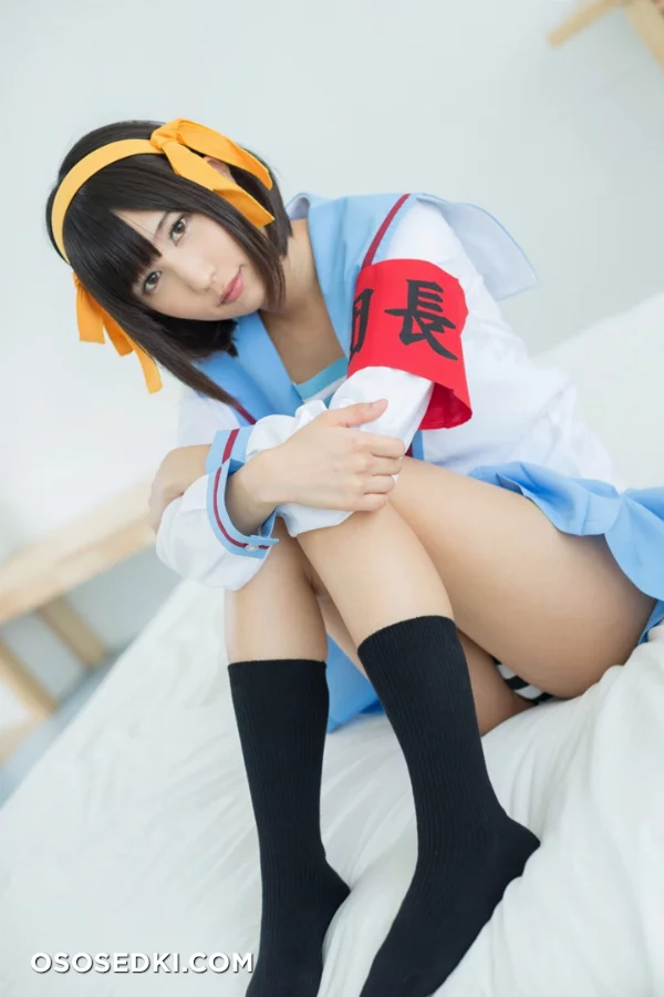 Haruhi Suzumiya - 15