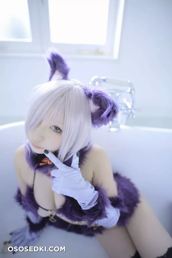 【Fate Grand Order】 Shielder | Mash Kyrielight - 78