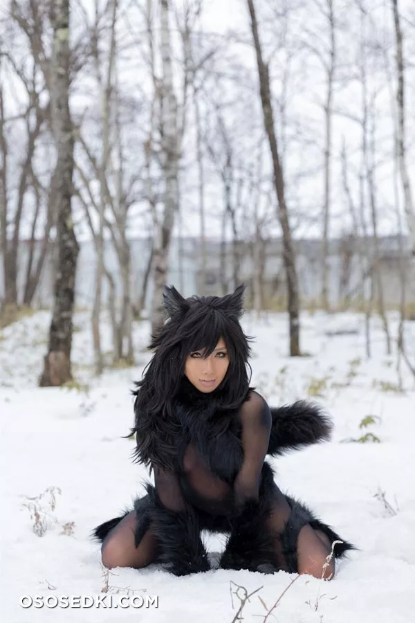 Timber wolf - 101