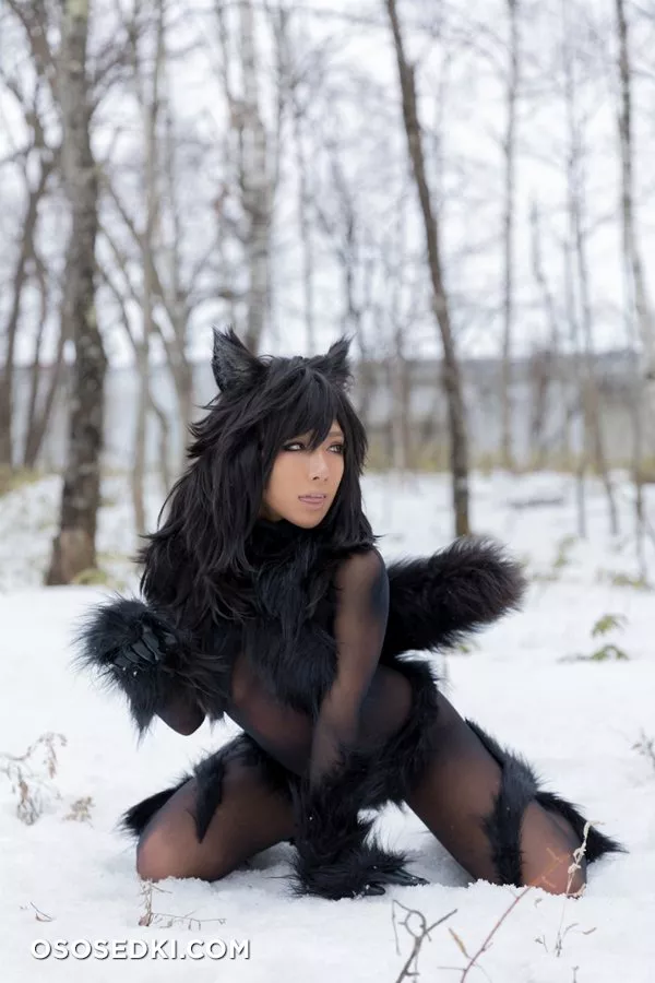 Timber wolf - 113