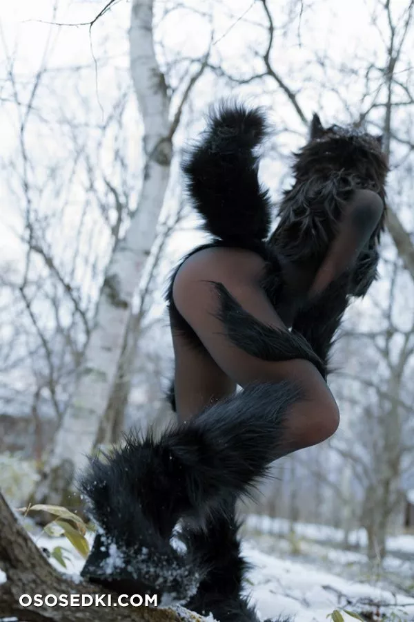 Timber wolf - 128