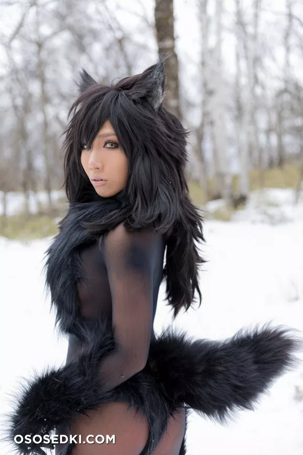 Timber wolf - 138