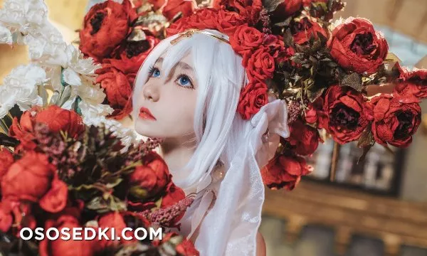 南桃 - 德丽莎花裳月纱 - 10