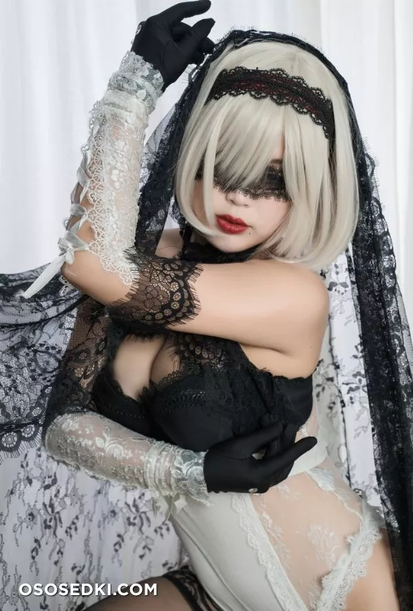 [niyeye]2B Photo Album Vol.34 Stockings ver (NieR_ Automata) [Di - 15