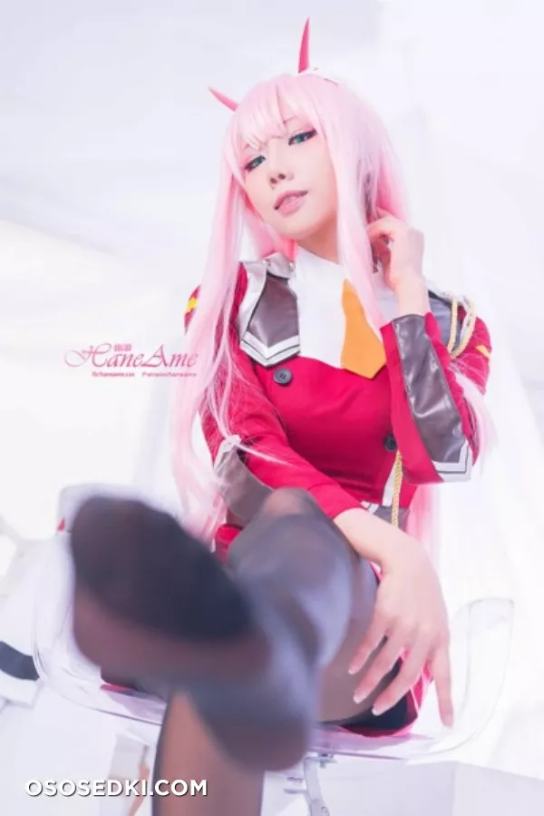 [HaneAme] Darling in the FranXX - Zero Two (Main unifrom) - 24