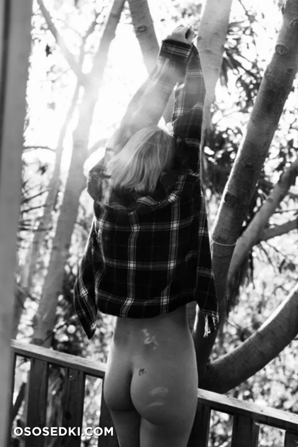 Kayslee Collins - 339