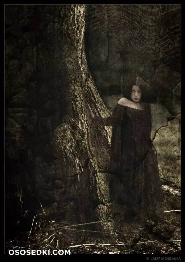Morgana / Threnody in Velvet - 478