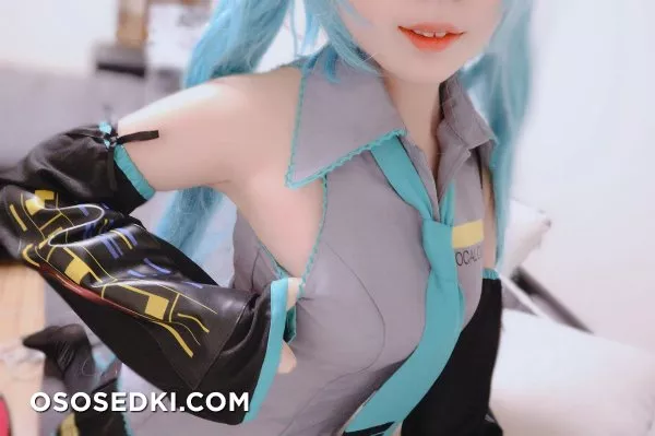 Hatsune Miku Comic Market 95 - 3