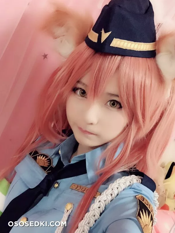 [習呆呆] FGO Tamamo policewoman - 14