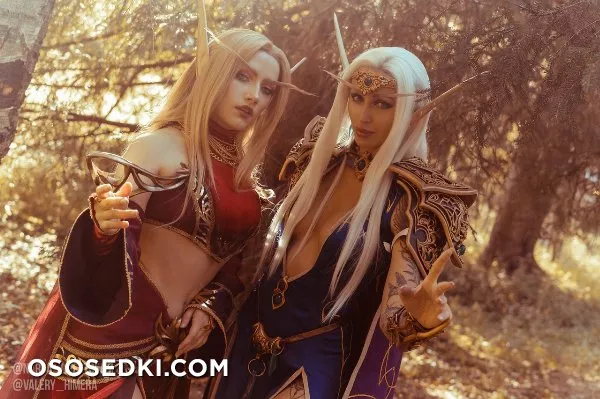 High & Blood Elfs - Warcraft - 1
