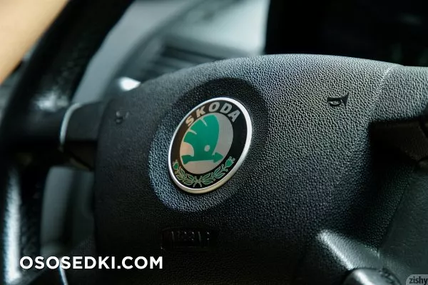 Nadia Serbinenko Drives a Skoda - 20