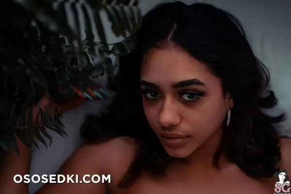 Taina - Cocoa - 43