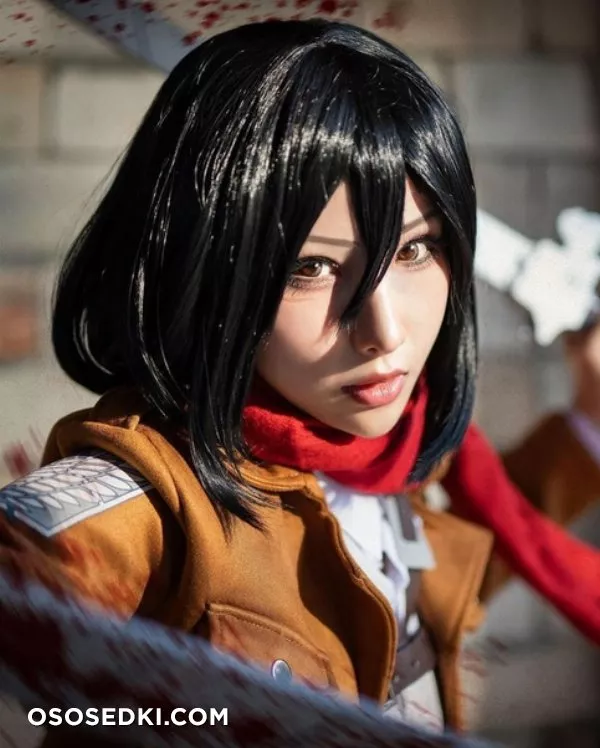 Mikasa Ackerman by Hane Ame - 9